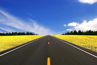 高速公路堵車(chē)，村民坐地起價(jià)收“過(guò)路費(fèi)” 應(yīng)急通道豈能成“生財(cái)之道”？